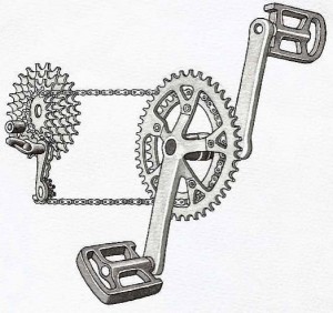 Gears and Gear Ratios