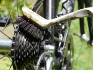 Be an Empowered Cyclist