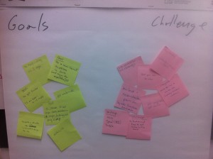 Goals and Challenges